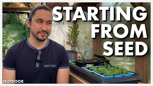 Starting Seeds In Winter for Spring - 3 Month Journey
